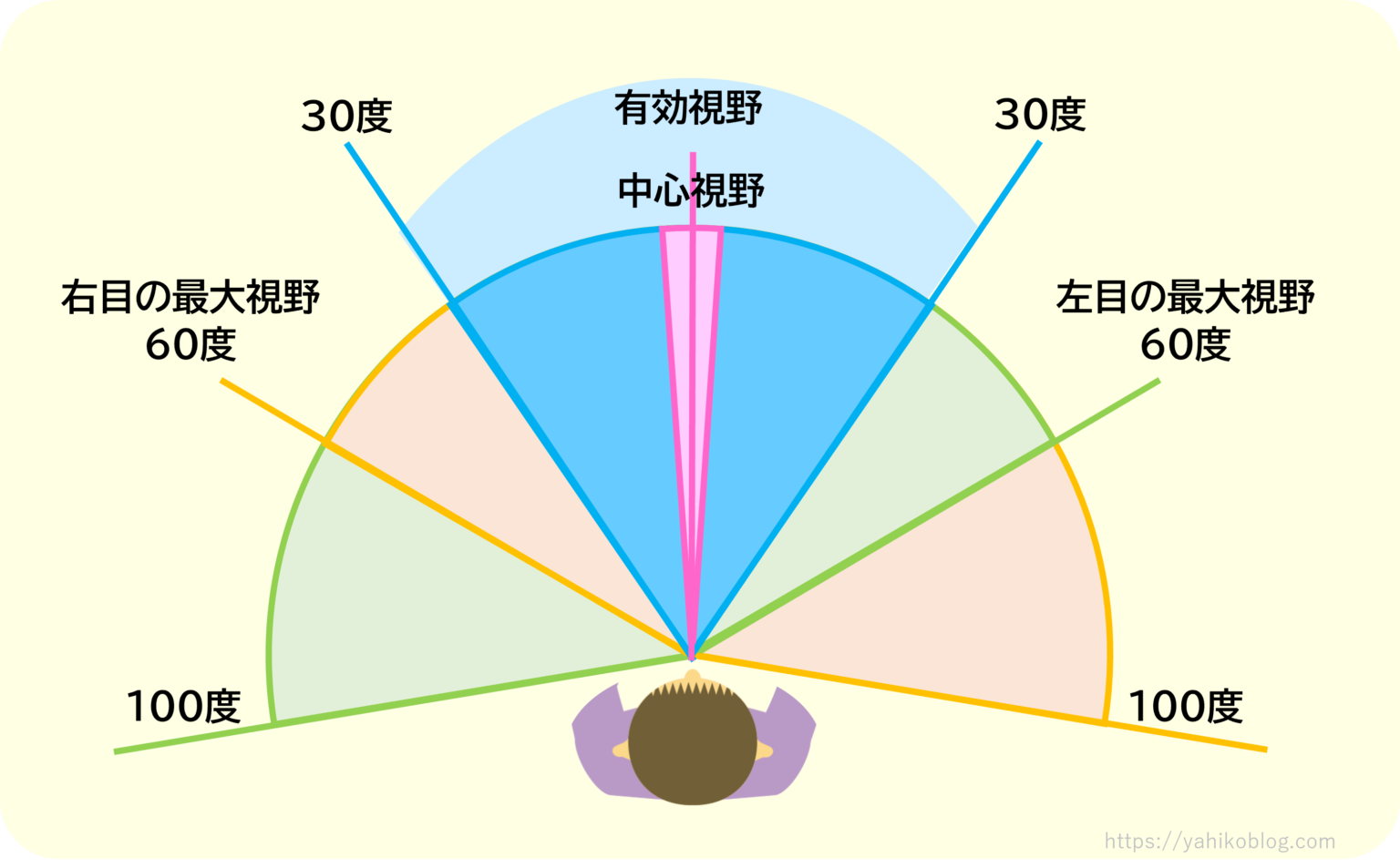 中心視野と周辺視野とイメージと。視野を広げてプレーも広げよう!|初心者のためのバスケブログ_yahikoblog