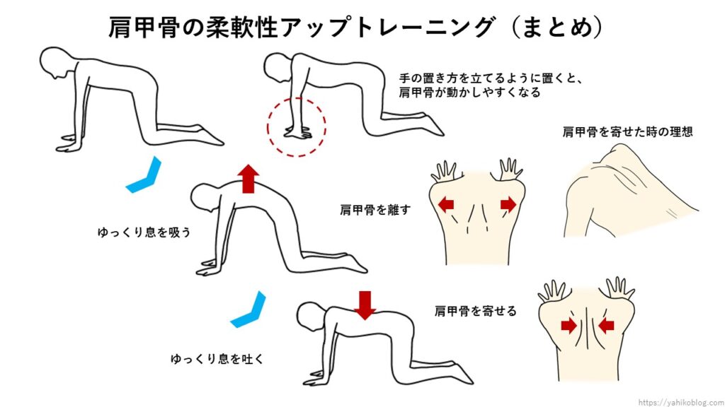 肩甲骨柔軟性アップトレーニング（まとめ）