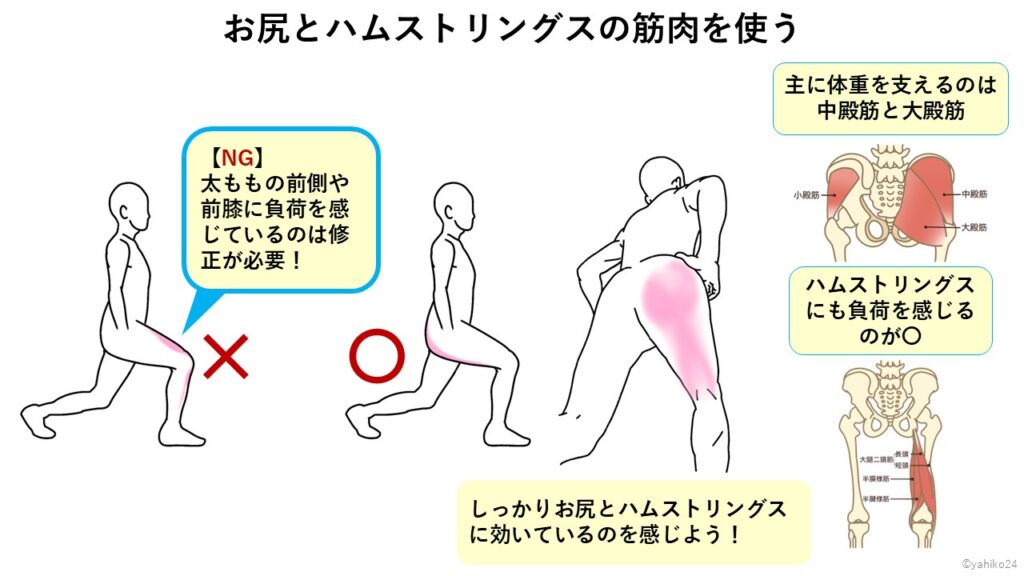 ランジはお尻とハムストリングスの筋肉を使う