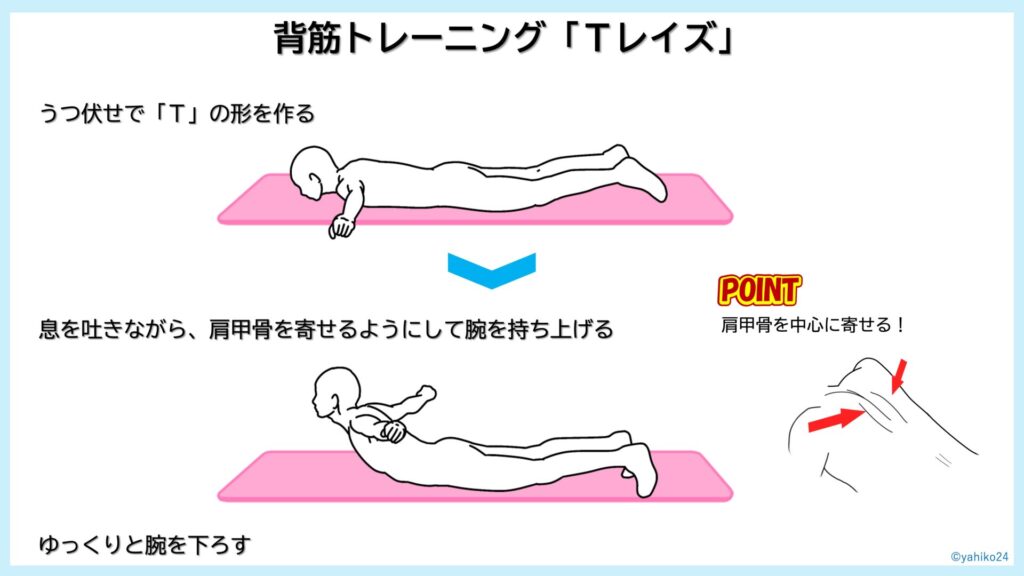 【バスケ】背筋トレーニング「Ｔレイズ」